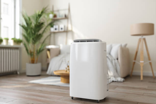 Best Furnace Cleaning in Bear Creek, FL
